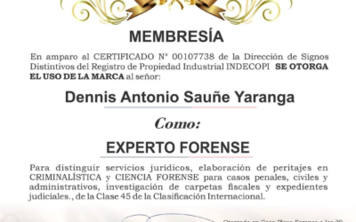 Registro Experto Forense